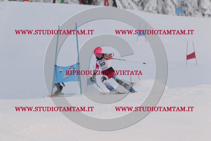 MAT_8168.JPG