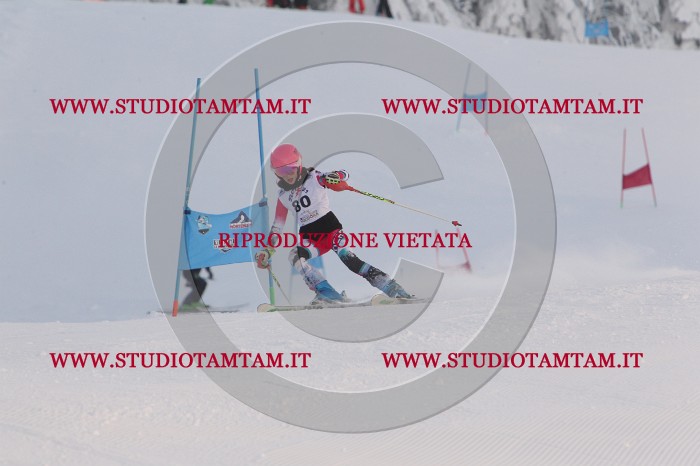 MAT_8169.JPG