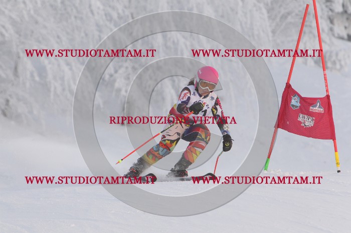 MAT_8180.JPG