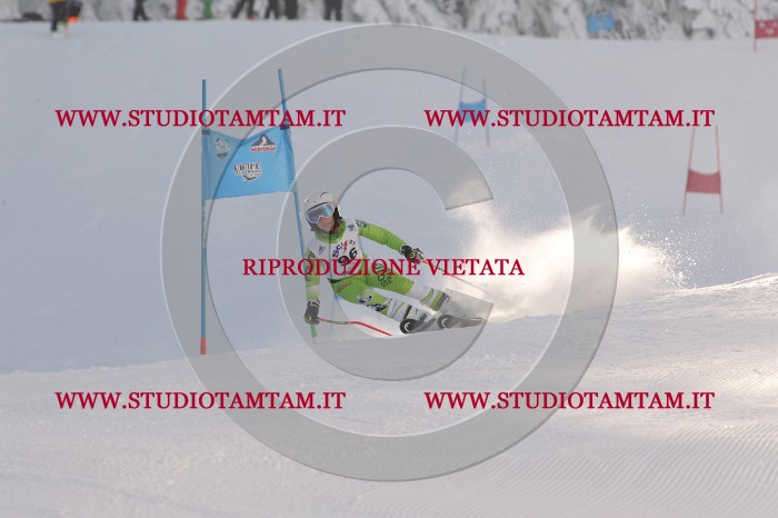 MAT_8311.JPG