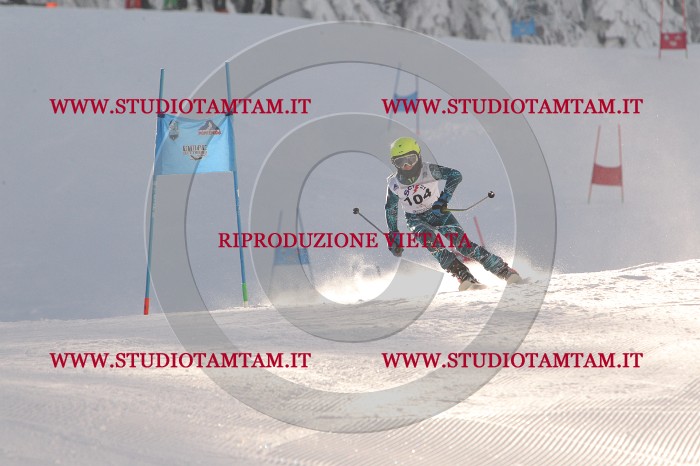 MAT_8378.JPG