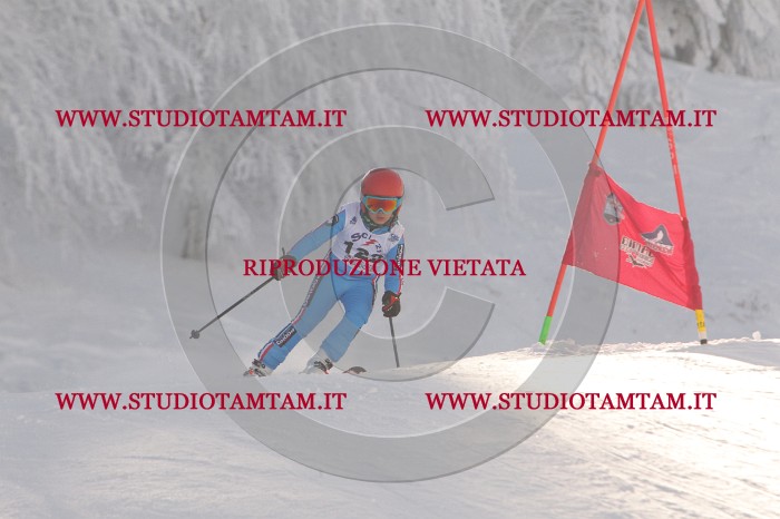 MAT_8541.JPG