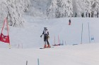 MAT_8237