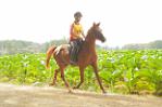 IMGB6556