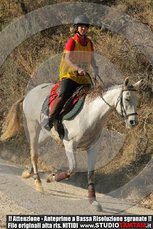 IMGB0843.JPG