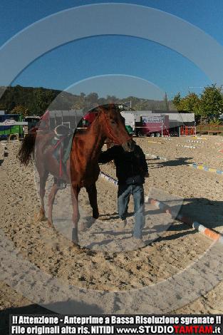 IMG_7620.JPG