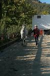 IMG_7590