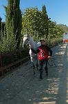 IMG_7595