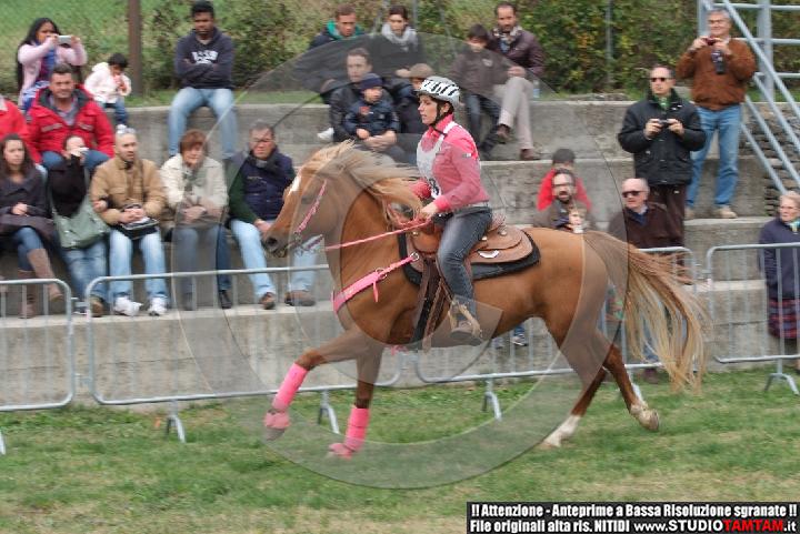 DSCF6725.JPG