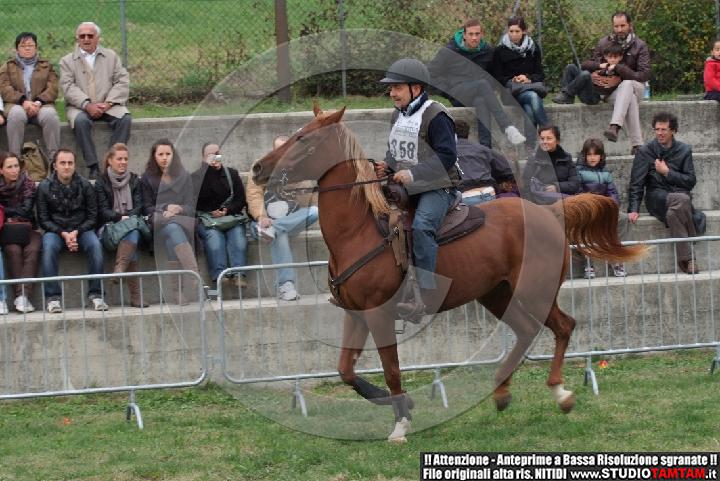 DSCF6842.JPG