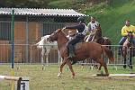 DSCF6977