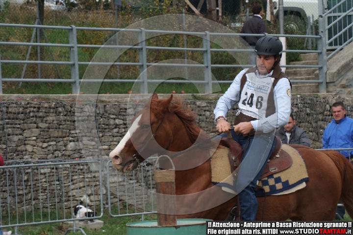 DSCF7014.JPG