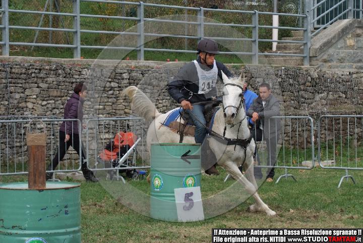DSCF7225.JPG