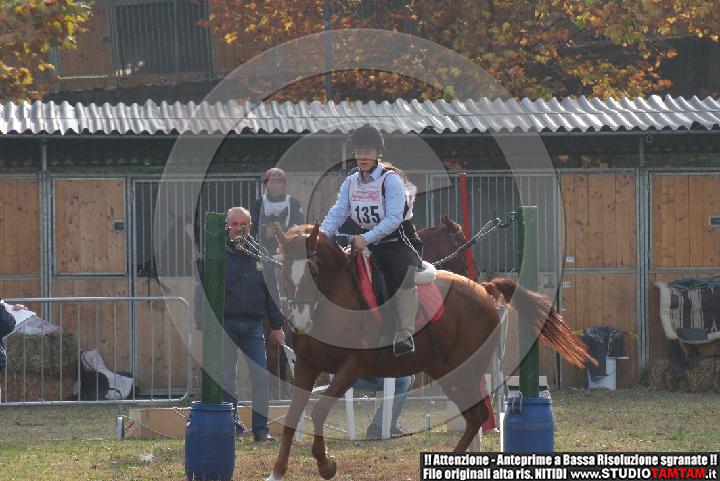 DSCF7265.JPG