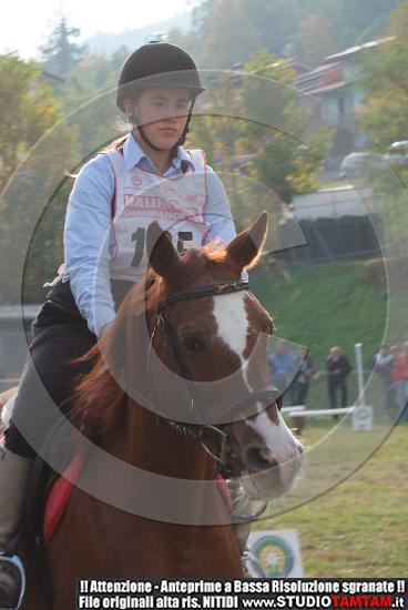 DSCF7266.JPG