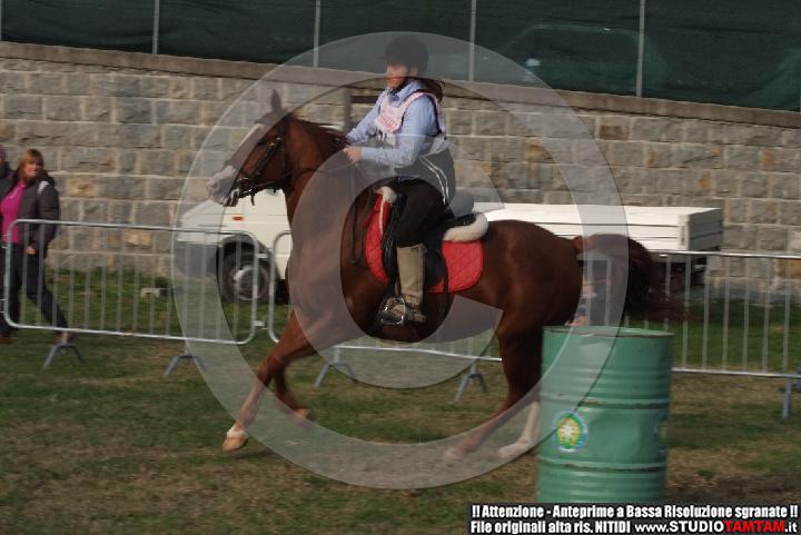 DSCF7270.JPG