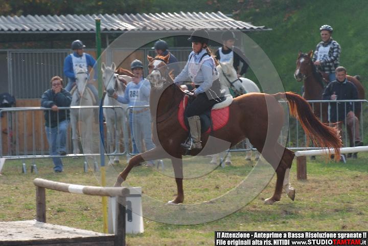 DSCF7274.JPG