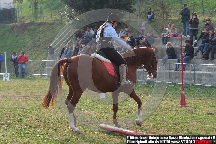 DSCF7276.JPG
