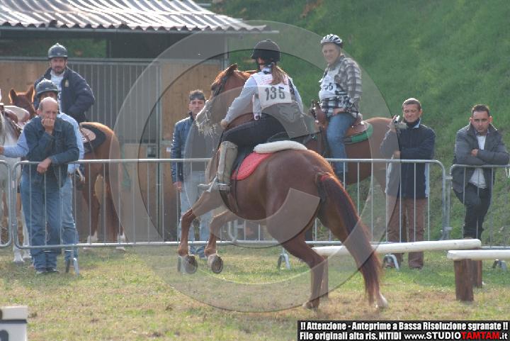 DSCF7284.JPG