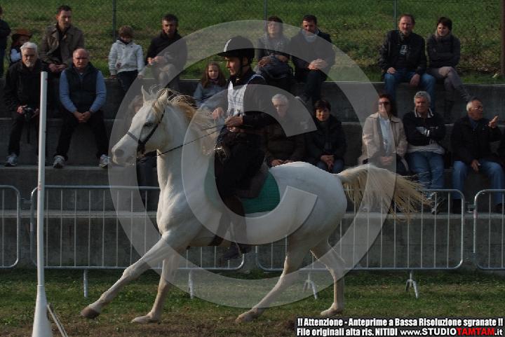 DSCF7295.JPG