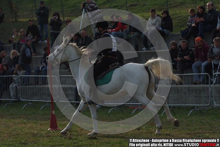 DSCF7296.JPG