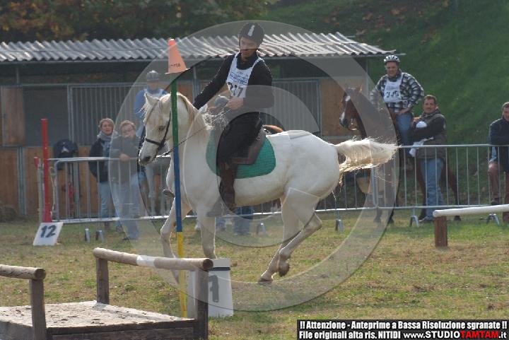 DSCF7297.JPG