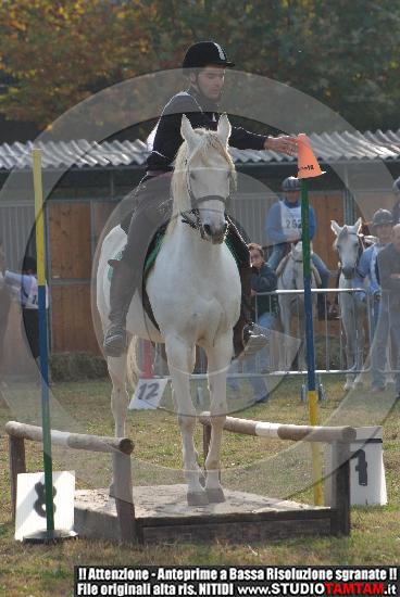 DSCF7298.JPG
