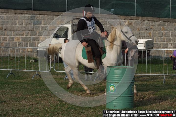 DSCF7302.JPG