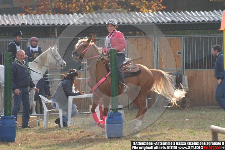 DSCF7307.JPG