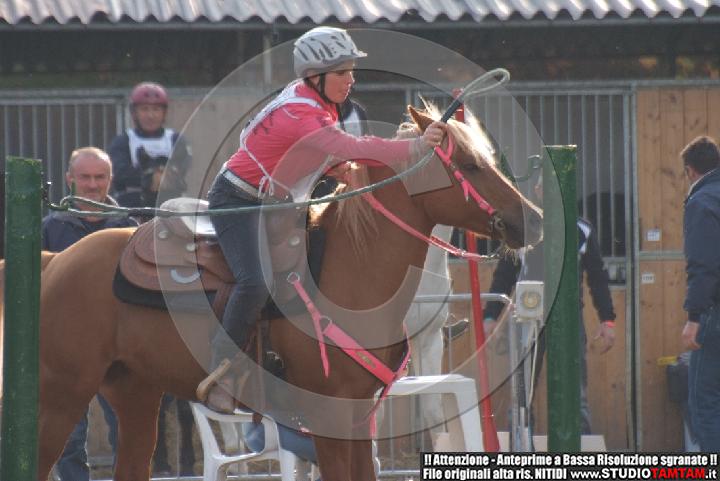 DSCF7308.JPG