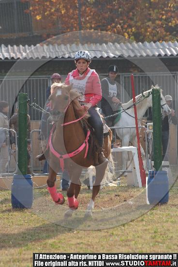 DSCF7309.JPG