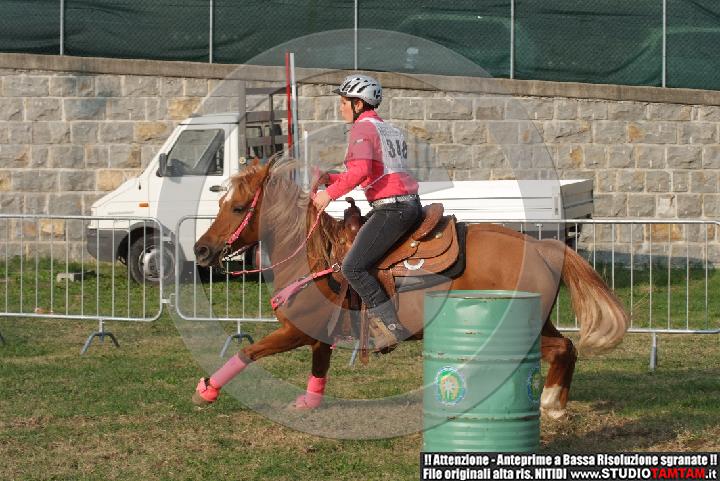 DSCF7313.JPG