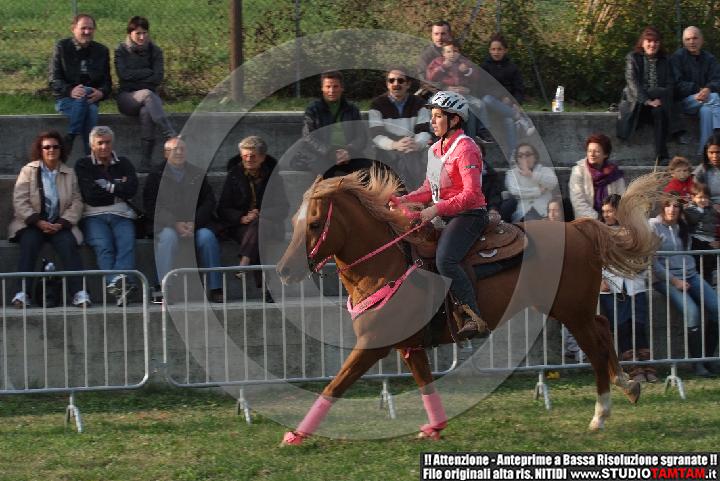 DSCF7318.JPG