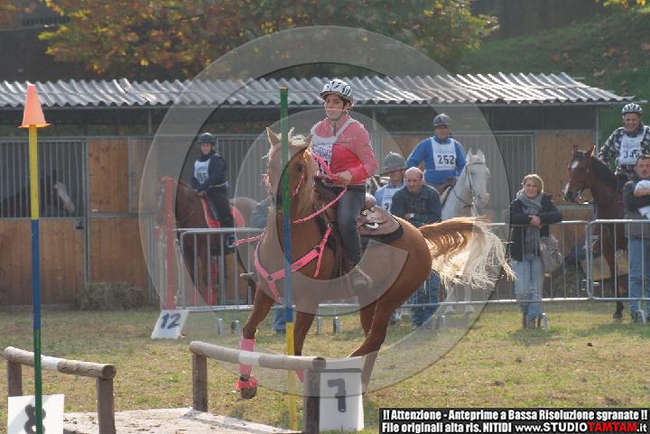 DSCF7320.JPG