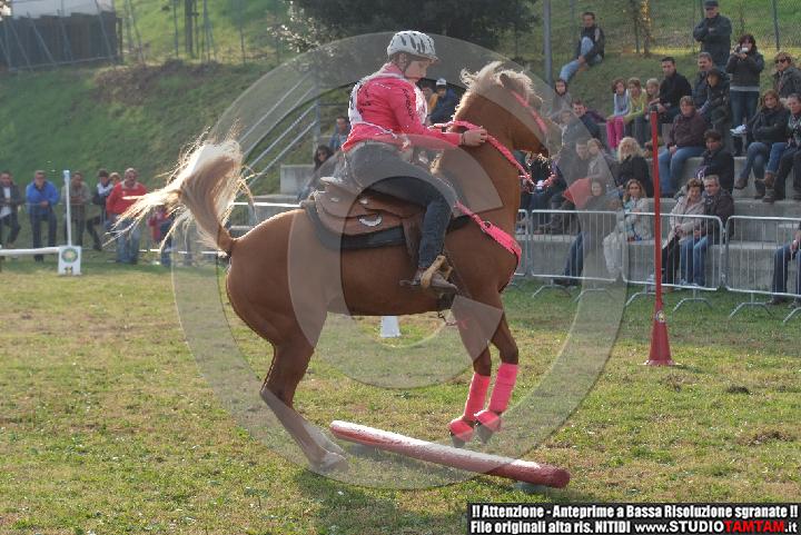 DSCF7323.JPG