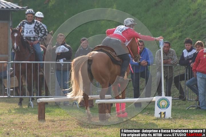 DSCF7329.JPG