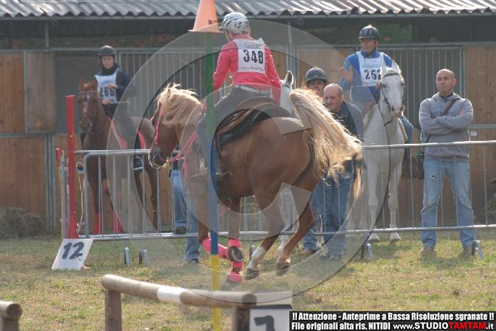 DSCF7330.JPG