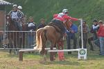 DSCF7329