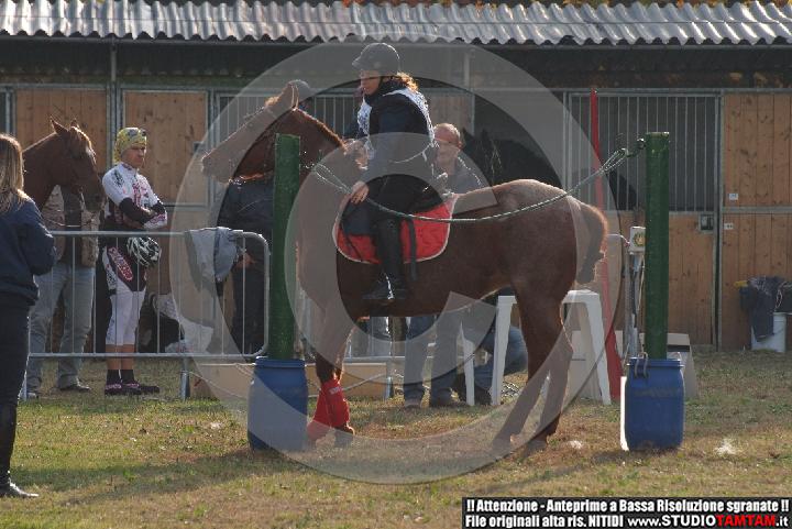 DSCF7331.JPG