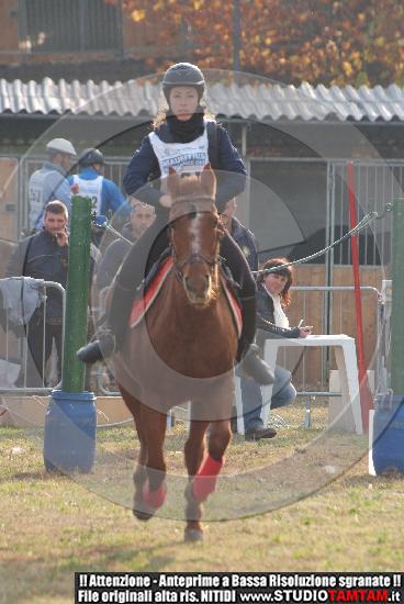 DSCF7333.JPG
