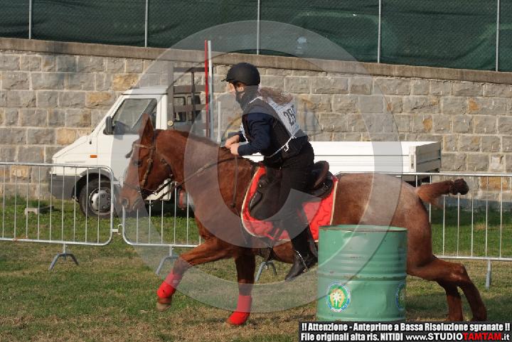 DSCF7336.JPG