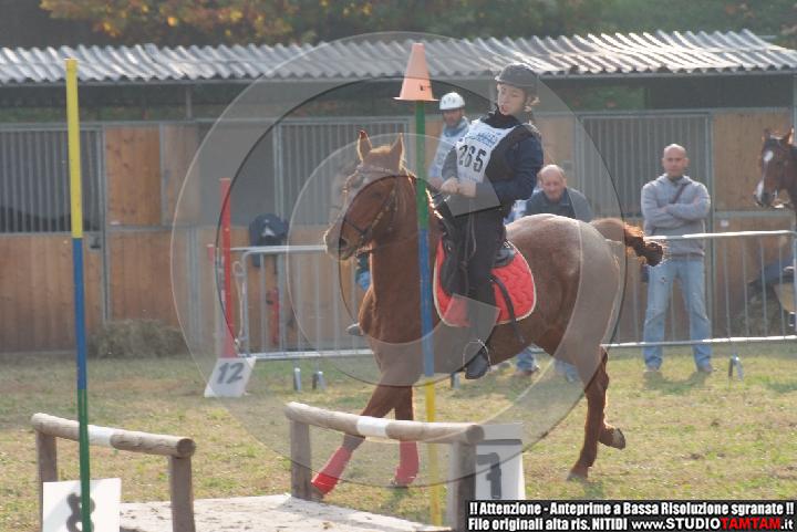 DSCF7343.JPG