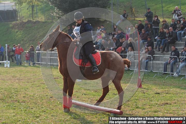 DSCF7345.JPG
