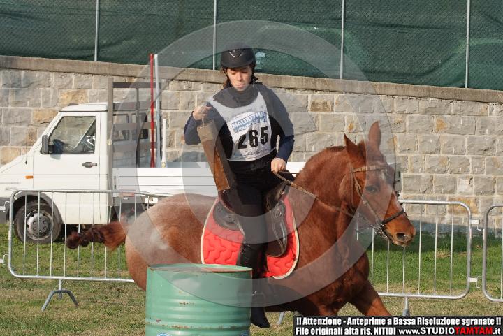 DSCF7348.JPG