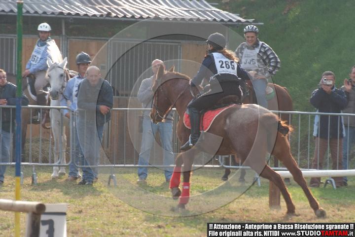 DSCF7352.JPG