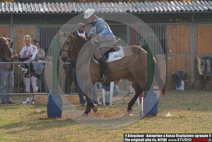 DSCF7353.JPG