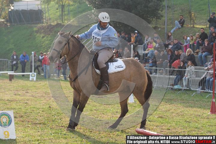 DSCF7367.JPG