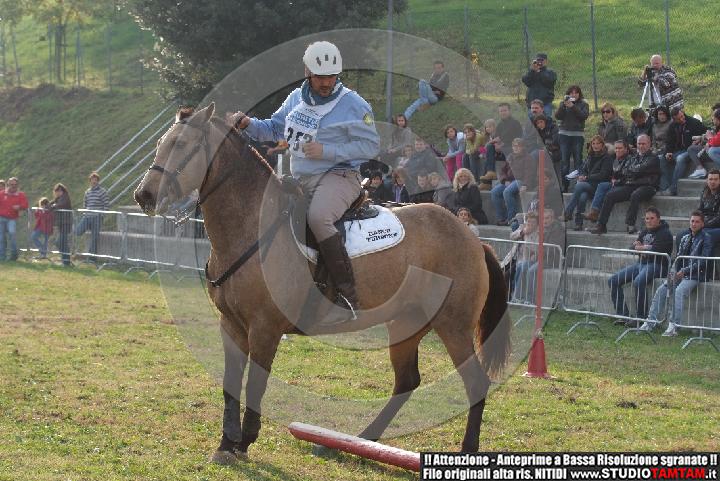 DSCF7368.JPG