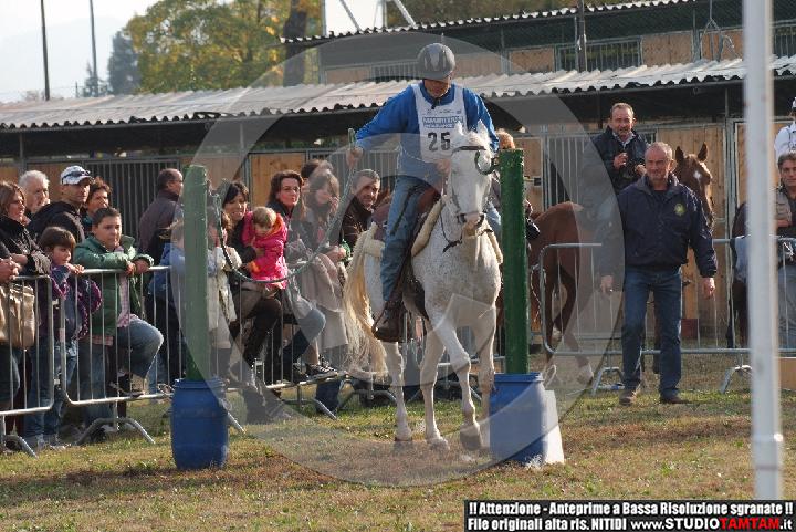 DSCF7373.JPG