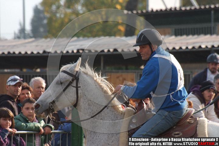 DSCF7374.JPG